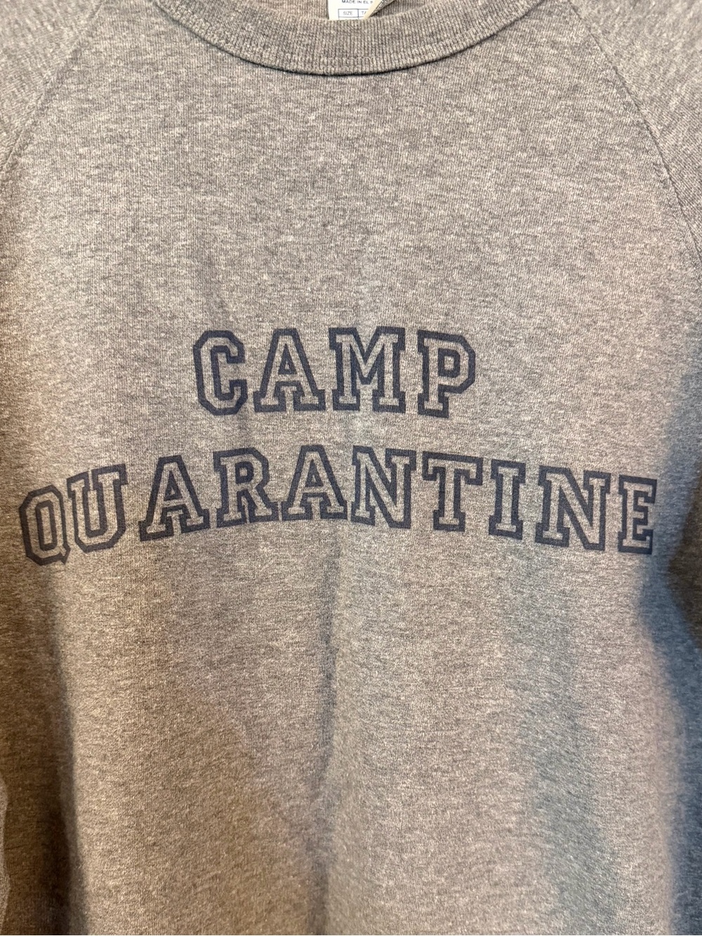 Delta Fleece Camp Quarantine Gray Graphic Sweatshirt Medium - Picture 2 of 6